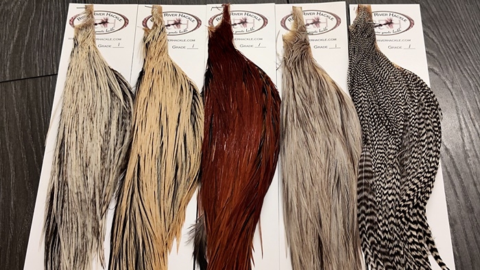 Grade 1 Half Brown Capes Root River Hackle | Trøndersk fluefiske ...