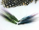 Flashwing sunray blue NYHET thumbnail
