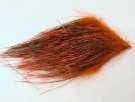 hot orange thumbnail