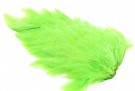 Ewing hen nakker thumbnail