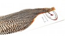 Grade 1 Half Grizzly Capes Root River Hackle thumbnail