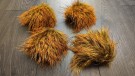 Villsvin ble farget av deep hot orange, sunburst, fiery brown thumbnail