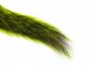 chartreuse thumbnail