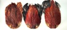 cock saddle red game thumbnail