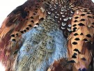 Pheasant whole shin thumbnail