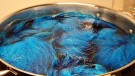 TM supreme rev ble farget av delikat turquoise og kingfisher! thumbnail
