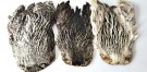 hen saddle grizzly thumbnail
