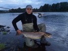 Gratulerer Bogdan 106cm 9,7kg! Sunray shadow igjen. Sesongslutt i Drammenselva.  thumbnail
