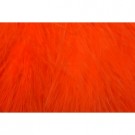 hot orange thumbnail