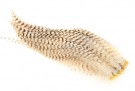 Ewing saltwater new streamer patch bleached grizzly! UTSOLGT! thumbnail