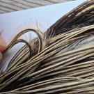 Ewing dry fly top cape- ekstremt høy interesse og veldig gode tilbakemeldinger!  thumbnail