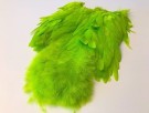 FF softhackle patch thumbnail