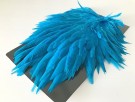 kingfisher blue thumbnail