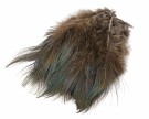 Nature's Spirit STRUNG RINGNECK PHEASANT RUMP - NYHET25 thumbnail