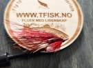 TM dobbelkrok FW Gaula møkkete vann thumbnail