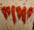 Farging i dag: isbjørnhår og revehaler av hot oransje!  thumbnail