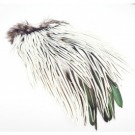 silver thumbnail