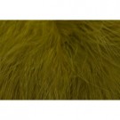 olive thumbnail