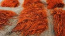 Villsvin ble farget av deep hot orange, sunburst, fiery brown thumbnail