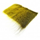 yellow thumbnail