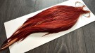 GRADE 1 BROWN CAPES ROOT RIVER HACKLE thumbnail