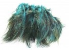 kingfisher blue thumbnail