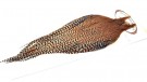 GRADE 1 CREE CAPES ROOT RIVER HACKLE- UTSOLGT! thumbnail