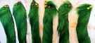 Isbjørnhår av orange, fluo green, green highlander, light blue er ferdig farget!  thumbnail
