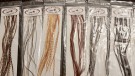 100 sampler pack Root River Hackle thumbnail