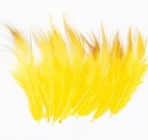 Golden Pheasant Body Feather Substitute NYHET! thumbnail