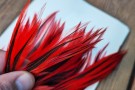 Ewing american rooster hot orange silver badger GR1! NYHET2026 thumbnail