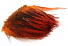 Cock hackles badger - hanehackle! thumbnail