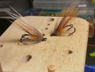 Kuula TM thumbnail