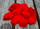 FF rooster feather short thumbnail