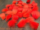 Isbjørnhår ble farget av fire hot orange!  thumbnail
