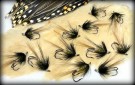 Ake TM variant thumbnail