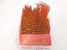 Grizzly supreme saddle 1/2 nakke  thumbnail