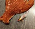 Gaula Creme Brulee fortynget Lasse variant 5cm!  thumbnail
