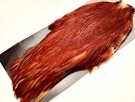 FF Rooster Cape- UTSOLGT! thumbnail