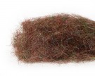 brown thumbnail
