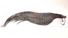 Grade 1 Half Grizzly Capes Root River Hackle thumbnail