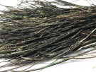 Peacock farget 10g thumbnail