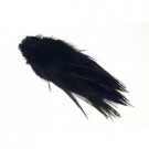 black thumbnail