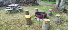 Laksesesongen er rett rundt hjørnet! Gaula gikk ned fra 450 til 230 kubikk i går! thumbnail