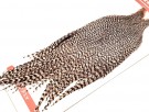 Ewing Grizzly Cape #1 Dry fly thumbnail