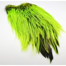 chartreuse thumbnail