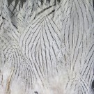Silver Pheasant Body Feathers- NYHET!  thumbnail
