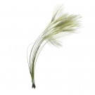 Veniard Ready Stripped Quills thumbnail