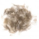 CDC bulk 1g Veniard Cul De Canard  thumbnail