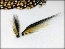 Golden collie TM thumbnail